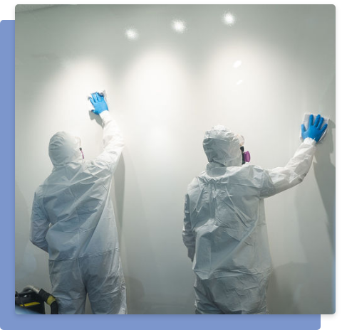 Mold Removal Service