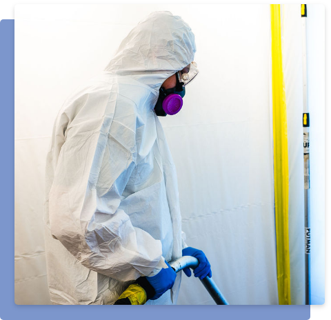 Mold Remediation Specialists